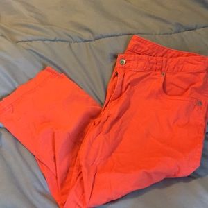 Size 14 Stretch Extensible Fit3 Capris BUNDLE only